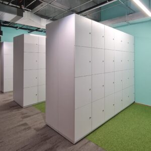 Locker | cuerpo y frentes en metal