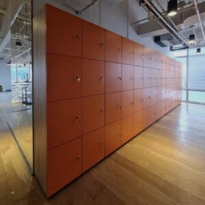 Locker | cuerpo y frentes en aglomerado MDP